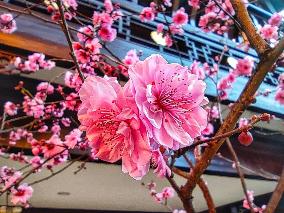 Doof Resort Hotel Lijiang  Dış mekan fotoğraf